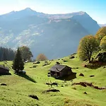 Aphrodite West Magnificent Eiger View Lejlighed Grindelwald