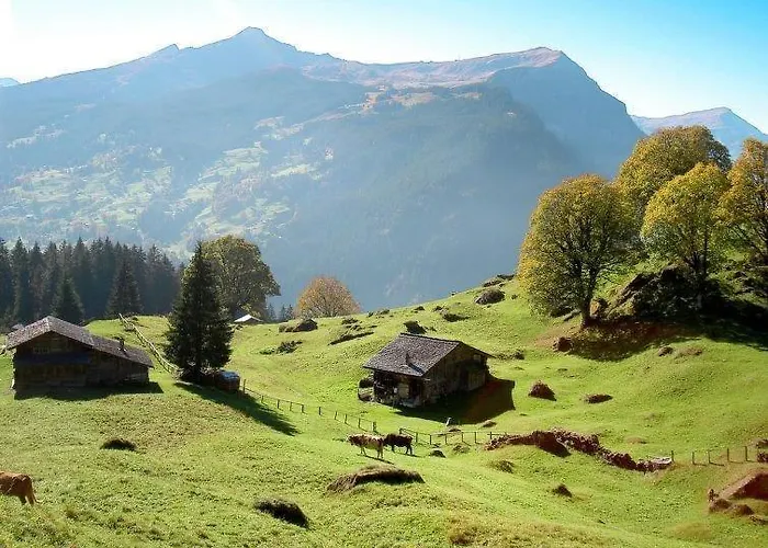 Aphrodite West Magnificent Eiger View Apartment Grindelwald